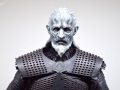 TZ_White_Walker_totale